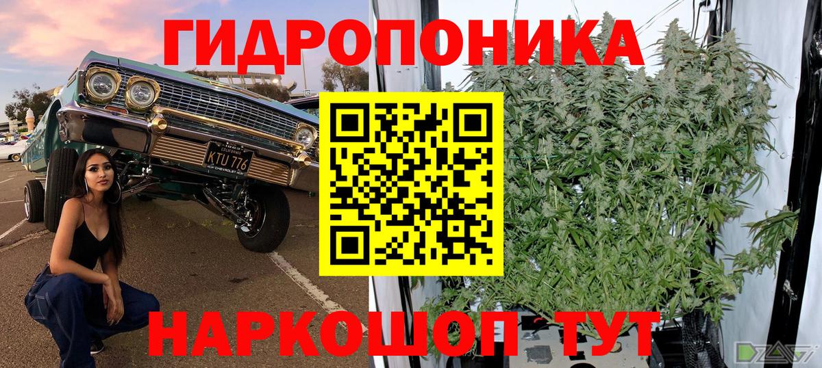 Каннабис индика  Конопля Bruce Banner  Вход с VPN  МАРИХУАНА AK-47  Уфа  МАРИХУАНА тримм 